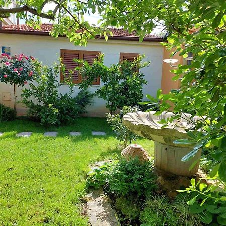 Adriatic Apartments Nada فاجانا المظهر الخارجي الصورة