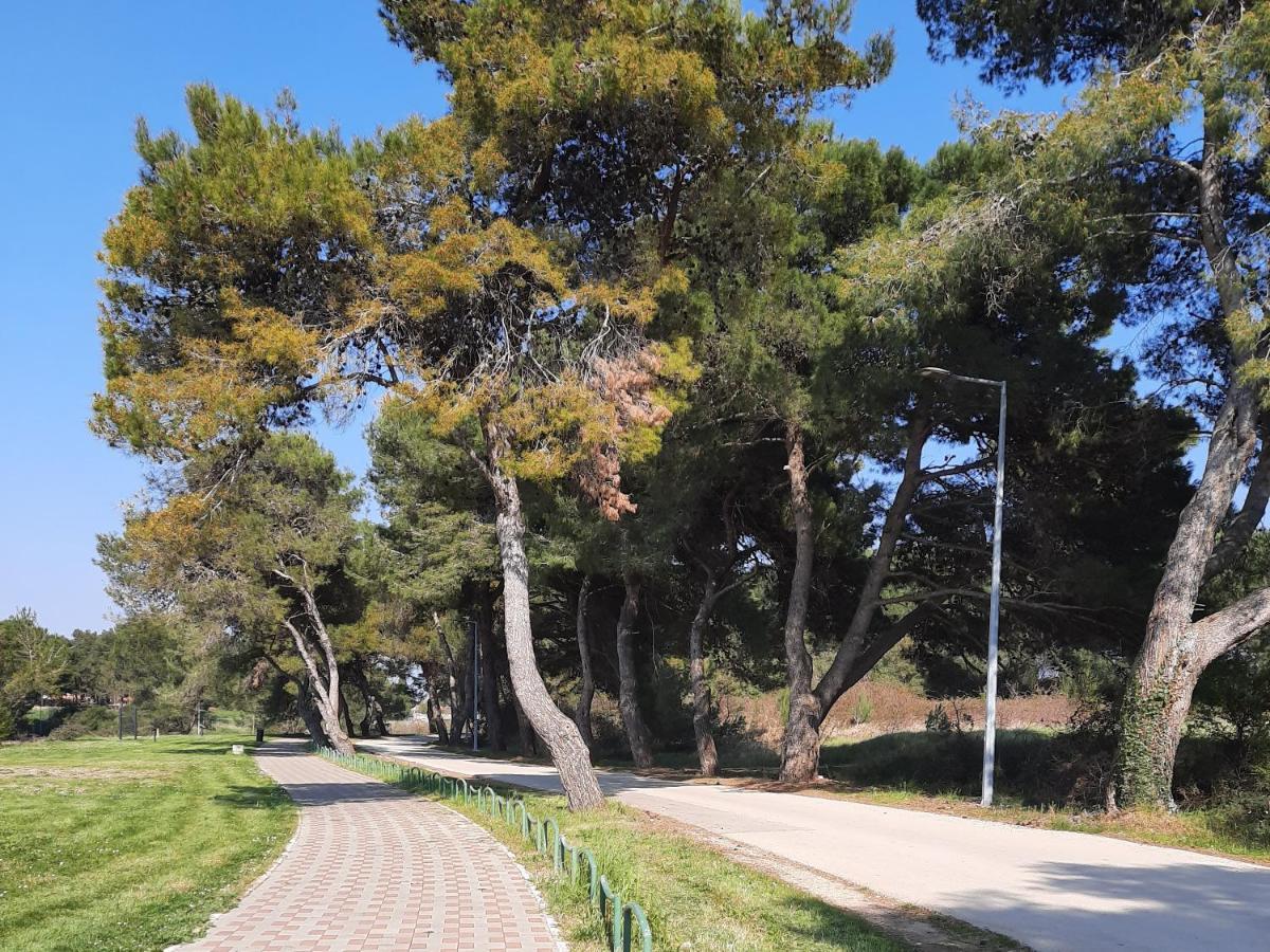 Adriatic Apartments Nada فاجانا المظهر الخارجي الصورة