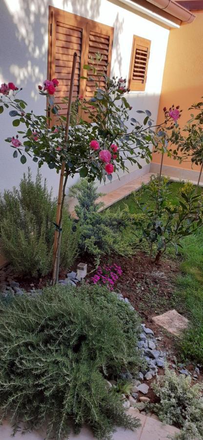 Adriatic Apartments Nada فاجانا المظهر الخارجي الصورة